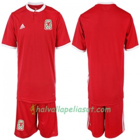 Jalkapallo Pelipaidat Wales Lasten Kotipaita 2018-2019 Lyhythihainen